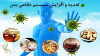 رابطه تغذیه و ایمنی